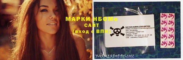МДПВ Новозыбков