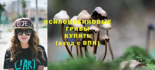 МДПВ Новозыбков