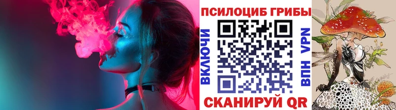 Купить  Чадан  Псилоцибиновые грибы Magic Shrooms 